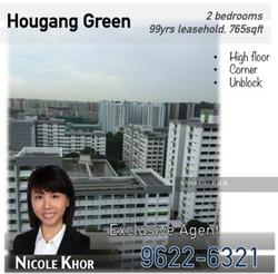 Hougang Green (D19), Apartment #117578232